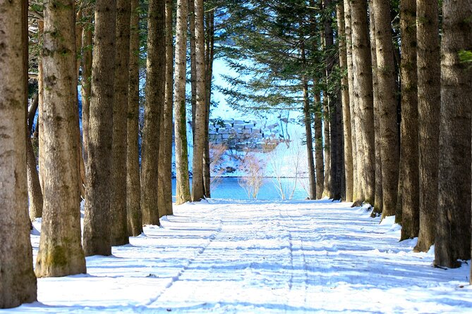 Eobi Ice Wall & Nami Island & Morning Calm Light Festival - Making the most of three hours on the island