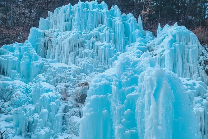 Eobi Ice Wall & Nami Island & Morning Calm Light Festival - Evening lights at the Garden of Morning Calm