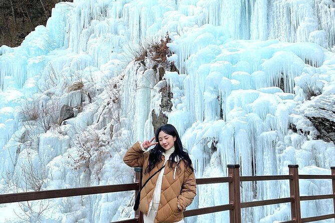 Eobi Ice Wall & Nami Island & Morning Calm Light Festival - Guides, group size, and the pace of the day