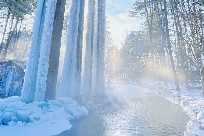 Eobi Ice Wall & Nami Island & Morning Calm Light Festival - What the $74.33 price really covers