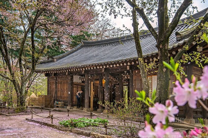 Eobi+Nami+Hanbok Tour with Rail Bike or Strawberry Option - What this winter day trip actually delivers