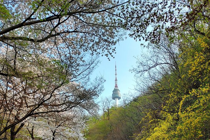 Essence of Seoul, 100% Private Full Day City Tour - Namdaemun Market and the city’s working side