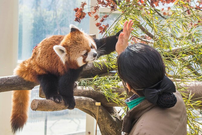 Everland Theme Park Admission Ticket with Transfer from Seoul - Why Everland makes a full-day trip from Seoul