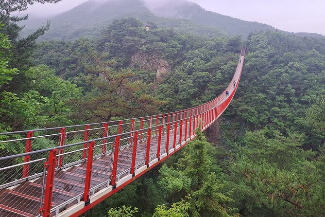 Explore DMZ from Seoul +(optional) Gondola/Red Suspension Bridge - Key points before you book