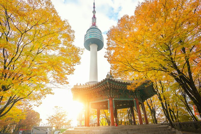 Flexible Private Guided Tour in Seoul (Optional Incheon Layover) - Finishing at N Seoul Tower