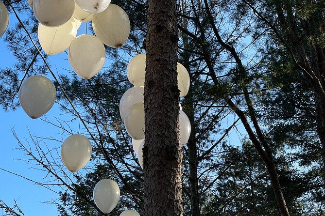 Four Seasons of Nami Island with Garden of Morning Calm Tour - The 30-minute ginseng shopping stop