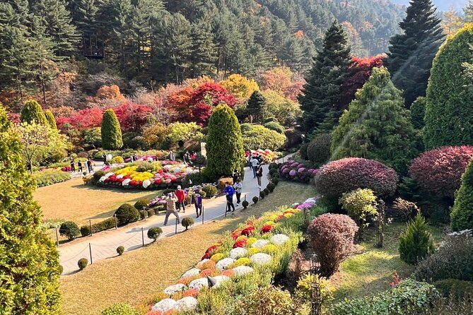 Four Seasons of Nami Island with Garden of Morning Calm Tour - What the $88 price gives you
