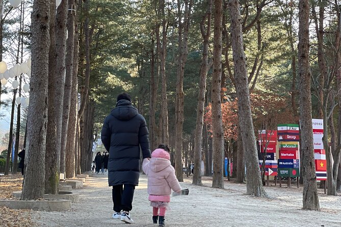 Four Seasons of Nami Island with Garden of Morning Calm Tour - Who will enjoy this day trip most