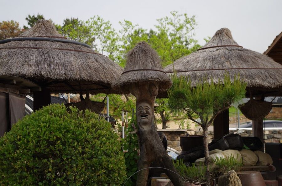 From Seoul: 5-Day Tour of Korea with UNESCO Sites - Who should book this Korea circuit?