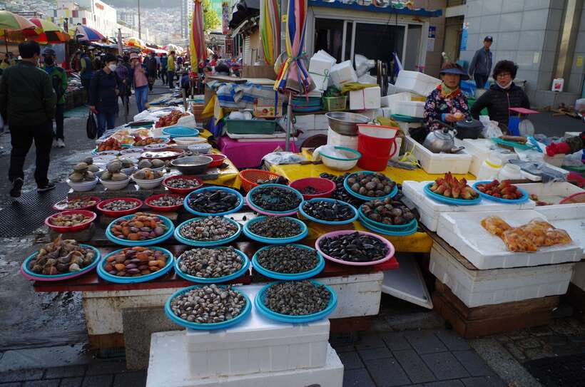 From Seoul: 5-Day Tour of Korea with UNESCO Sites - Day one: Baekje tombs, fortress walls, and Jeonju hanok streets
