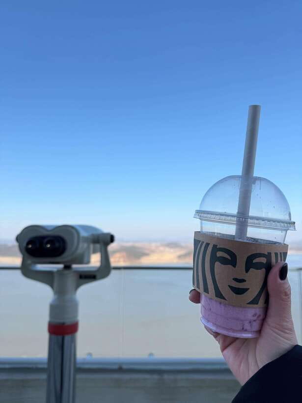 From Seoul: Aegibong Starbucks Observatory & DMZ View - Key points at a glance