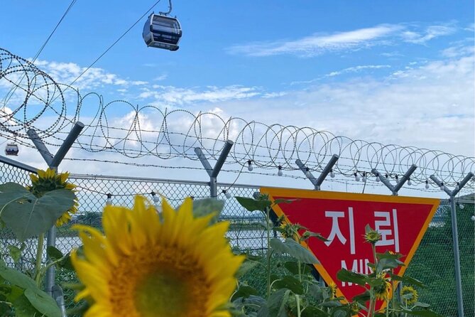 From Seoul: Cost-Benefit DMZ Shuttle Bus tour - Dora Observatory and the view across a divided peninsula