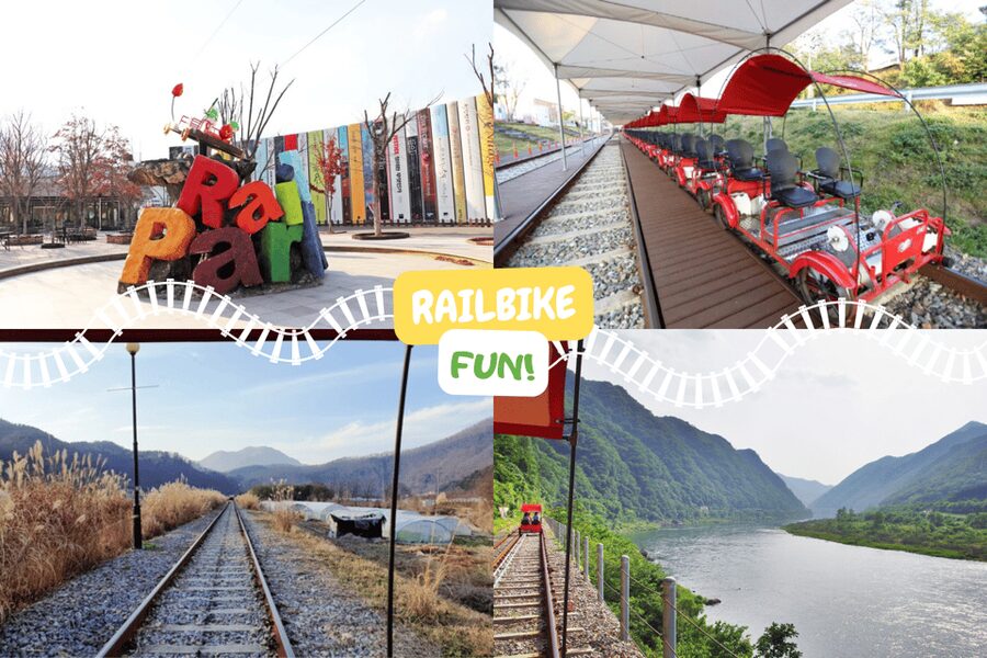From Seoul: Full Day Trip to Alpaca Farm with Rail Bike - Why this Gangwon day trip works so well