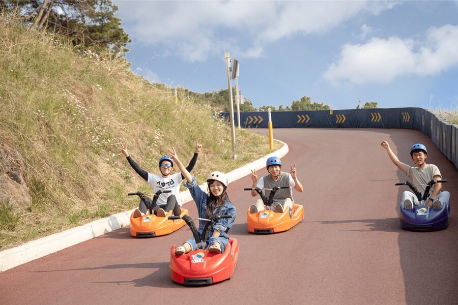 From Seoul: Full Day Trip to Alpaca Farm with Rail Bike - Lunch is simple, local, and not included