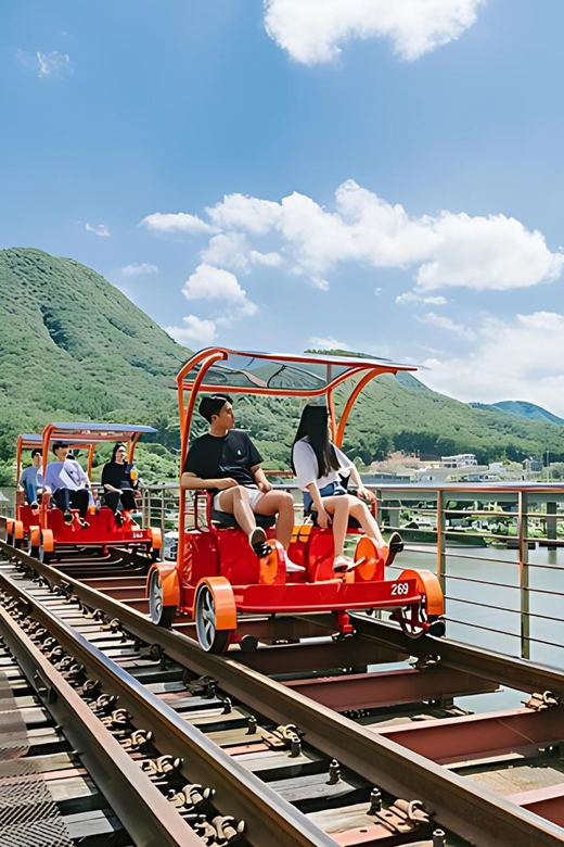 From Seoul: Full Day Trip to Alpaca Farm with Rail Bike - Alpaca World: the main attraction for animal lovers