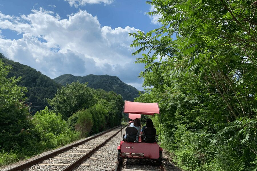 From Seoul: Full Day Trip to Alpaca Farm with Rail Bike - Leaving Seoul on a 105-minute bus ride