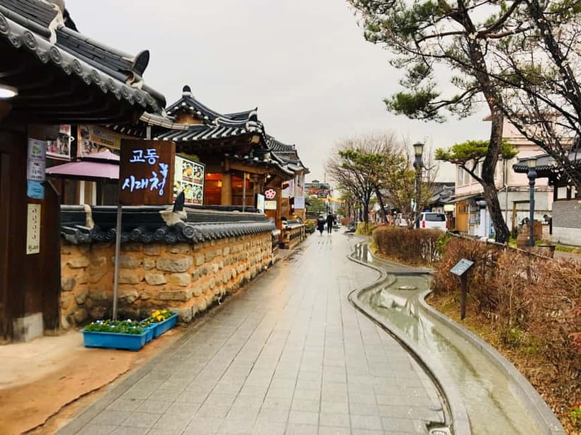 From Seoul: Korea Spring Cherry Blossom Day Tour - A long day, with walking kept to a manageable amount