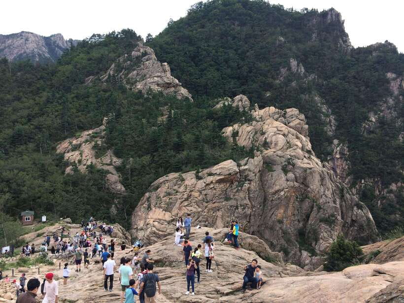 From Seoul: Korea Spring Cherry Blossom Day Tour - Yeongrangho Lake for an easy cherry-blossom stroll