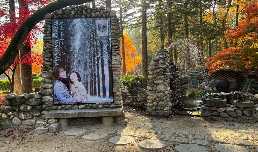 From Seoul: Nami Island, K-drama Garden & Rail Bike Day Tour - Should you book the Nami Island and rail bike tour?