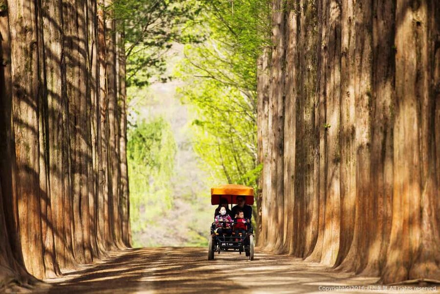 From Seoul: Nami Island, K-drama Garden & Rail Bike Day Tour - Pedaling the old tracks at Gangchon Rail Park