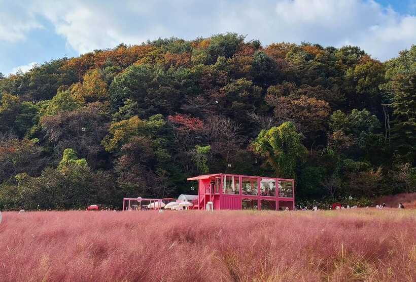 From Seoul: Pocheon, Sanjung Lake and Bidulginang Fall Trip - Who should book this experience?
