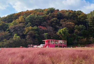 Pocheon, Sanjung Lake and Bidulginang Fall Trip