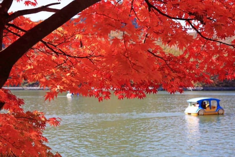 From Seoul: Pocheon, Sanjung Lake and Bidulginang Fall Trip - What the guides add to a long day