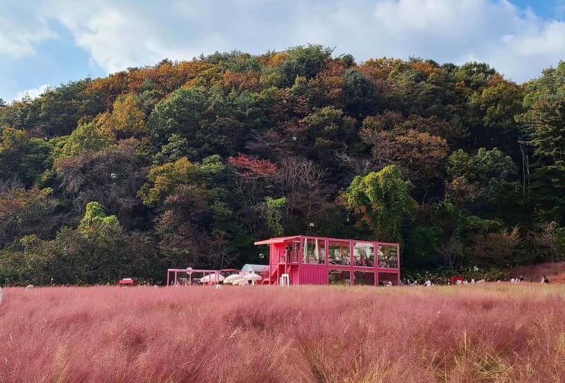 From Seoul: Pocheon, Sanjung Lake and Bidulginang Fall Trip - Sanjung Lake, a calm first look at Pocheon