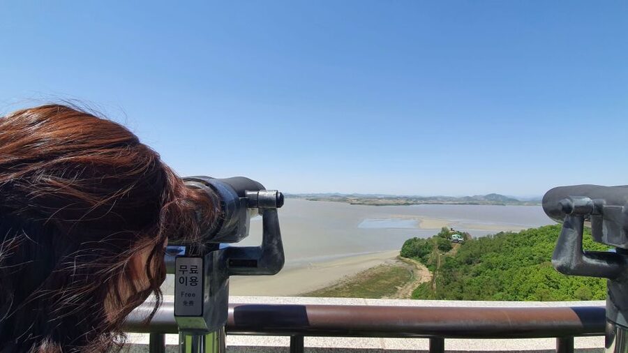 From Seoul: Private DMZ and Odusan Observatory Full-Day Tour - Why this DMZ day feels different