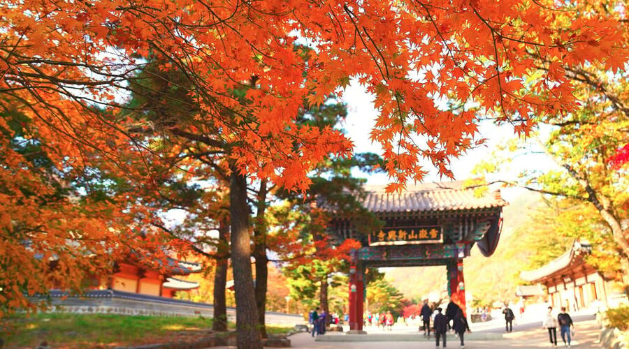 From Seoul: Seoraksan Mountain with Cable Car- Shuttle Bus - Why Seoraksan makes a worthwhile day from Seoul