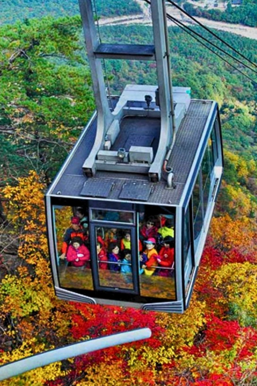 From Seoul: Seoraksan Mountain with Cable Car- Shuttle Bus - Should you book the Seoraksan cable-car tour?