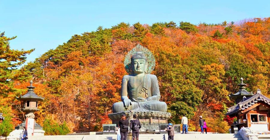 From Seoul: Seoraksan Mountain with Cable Car- Shuttle Bus - Riding the cable car toward Gwongeumseong Fortress
