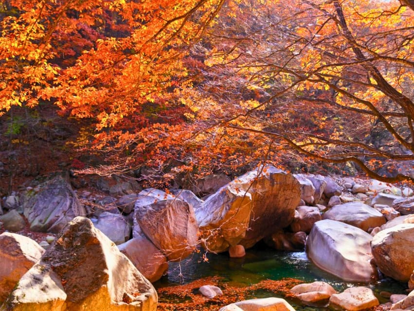 From Seoul: Seoraksan Mountain with Cable Car- Shuttle Bus - What the guides add to the day