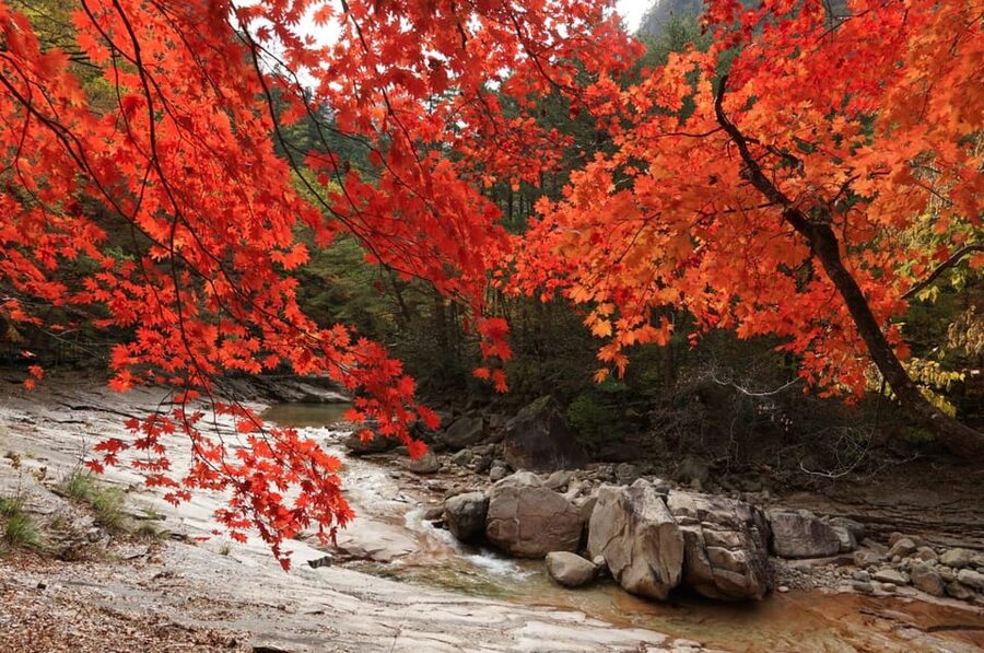 From Seoul: Seoraksan Mountain with Cable Car- Shuttle Bus - Is $67 a fair price?