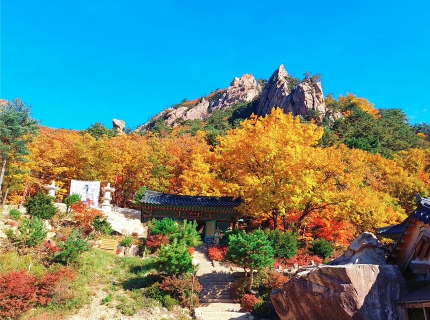 From Seoul: Seoraksan Mountain with Cable Car- Shuttle Bus - How to prepare for a smoother day