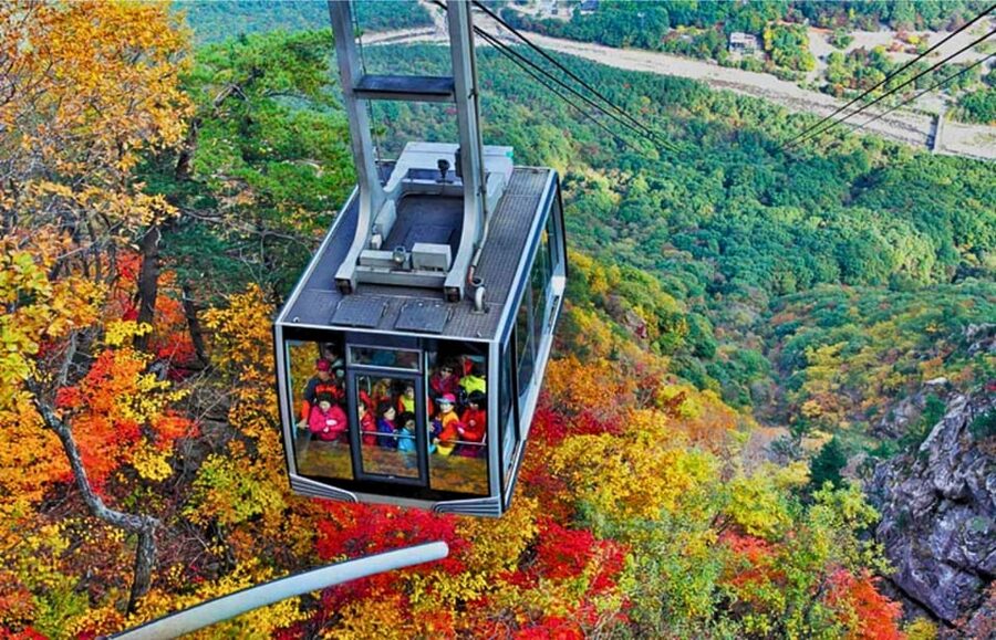 From Seoul: Seoraksan Mountain with Cable Car- Shuttle Bus - Sinheungsa Temple and the 14-meter bronze Buddha