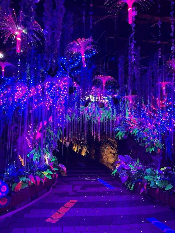 From Seoul: Starfield Library, Hwaseong, Gwangmyeong Cave - Who should book this day trip?