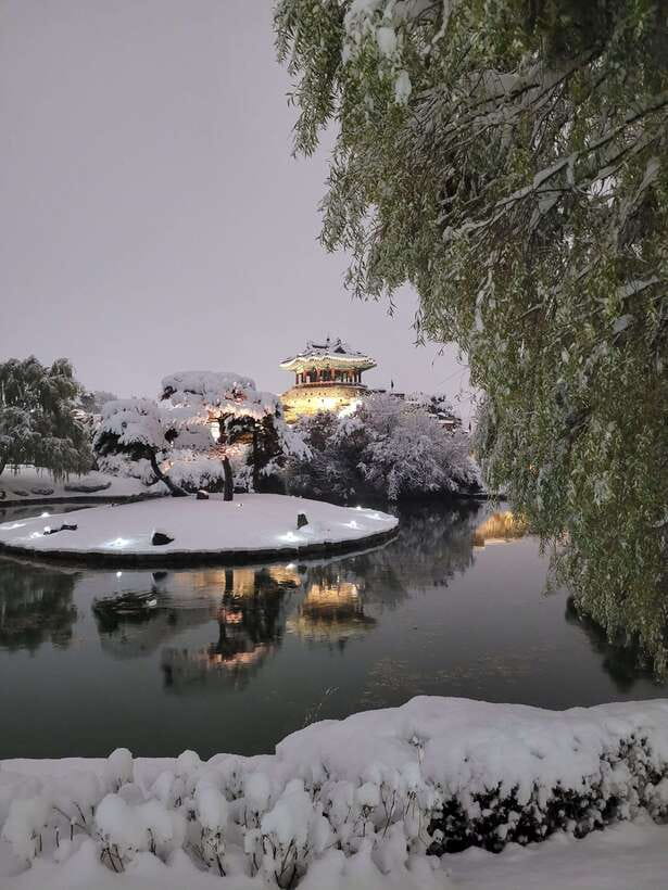 From Seoul: Suwon Hwaseong Fortress Night Tour - Why Hwaseong works so well after sunset