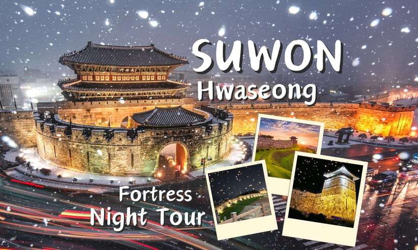 From Seoul: Suwon Hwaseong Fortress Night Tour - The Joseon story behind the walls