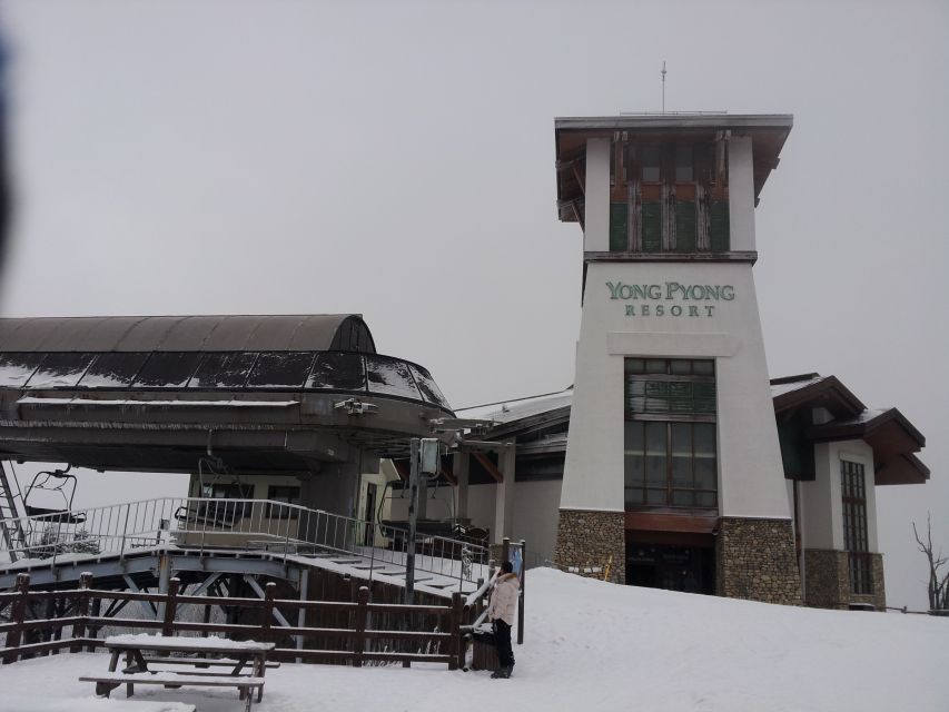 From Seoul: Yongpyong Ski Day Tour with Transportation - Why Yongpyong makes sense for a Seoul day trip