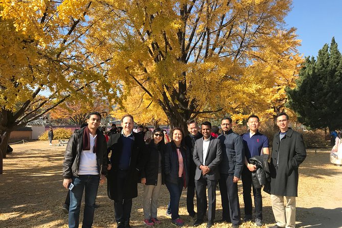 [ Full Day ] Nami Island & Petit France From Seoul - What the $150 price really covers