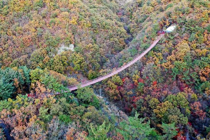 Full Day Private Tour DMZ (The 3rd Tunnel) & Suspension Bridge - What your guide and vehicle add