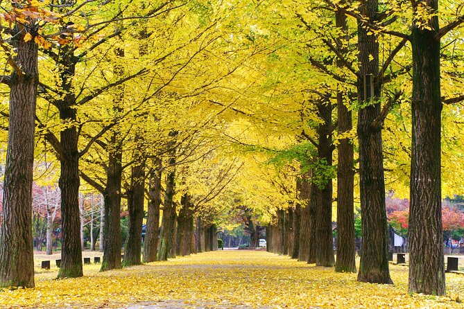 Full Day Private Tour Nami Island, Garden & Petite France - Petite France, a Korean version of rural France