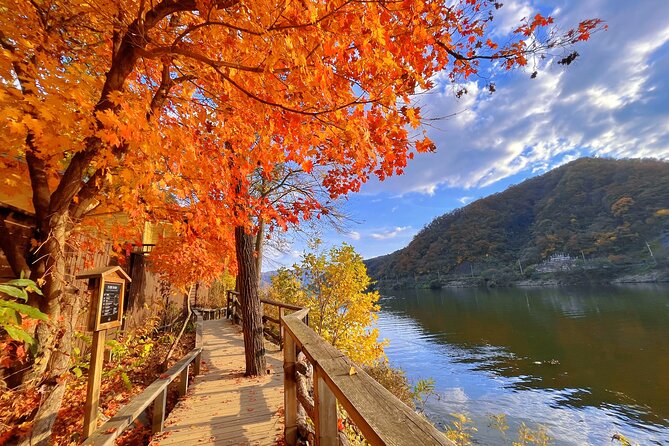 Full Day Private Tour Nami Island, Garden & Petite France - Pinocchio and Da Vinci Italian Village