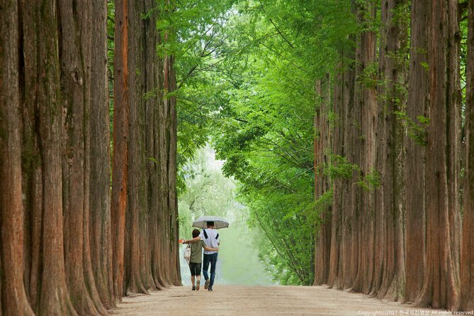 Full Day Private Tour Nami Island, Garden & Petite France - Why a private vehicle changes the value