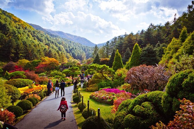 Full Day Private Tour Nami Island, Garden & Petite France - Who will enjoy this day most?