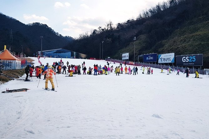 Gangchon Elysian Ski Day Trip from Seoul - Choosing Between Skiing and Snow Sliding