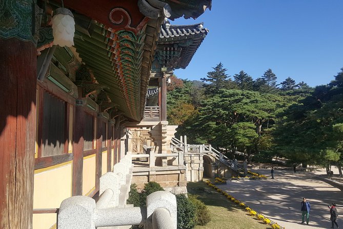 Gyeongju UNESCO Sites Tour by KTX train; The Museum Without walls - Seokguram Grotto, Buddhist art above the coast