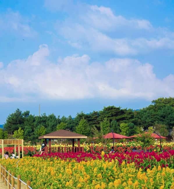 Hantan Canyon & Goseokjeong Flower Garden & Pink Muhly Park - Goseokjeong Flower Garden Through the Seasons