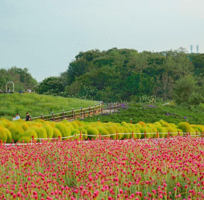 Hantan Canyon & Goseokjeong Flower Garden & Pink Muhly Park - Reading the River and Rock Formations